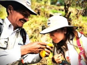 En la ruta del Takesi hay árboles de tumbo y otros frutos tropicales. Foto: Marco Fernández.